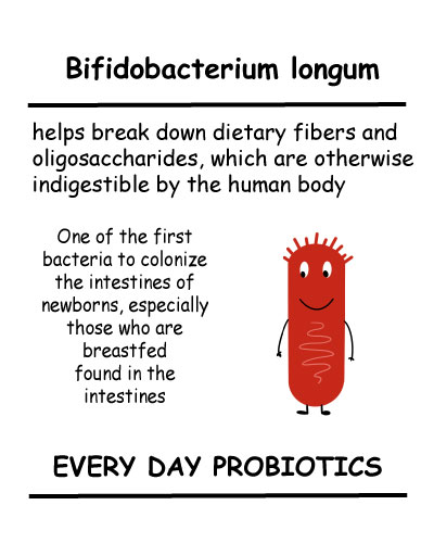 Bifidobacterium longum