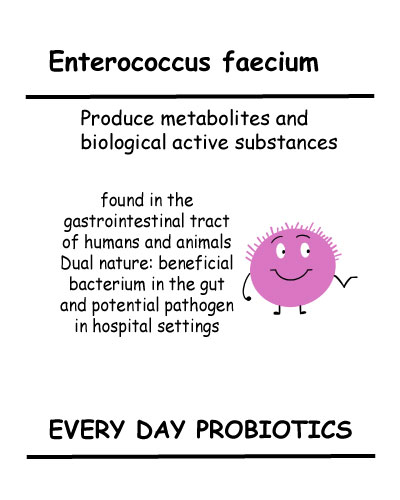 Enterococcus faecium