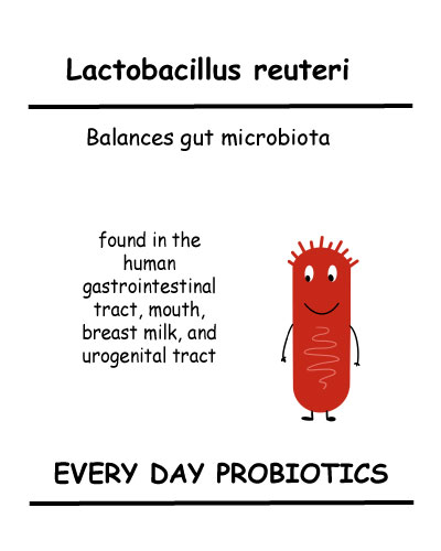 Lactobacillus reuteri