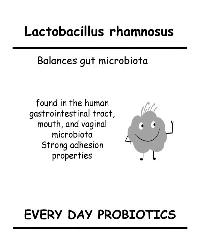 Lactobacillus rhamnosus