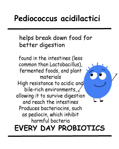 Pediococcus acidilactici